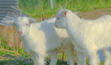 干净气质短句大全 适合发朋友圈的句子