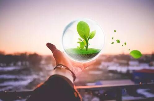 12.只有一个地球，人类应该在同一条船上。