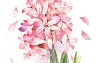 与亲情有关的英语句子