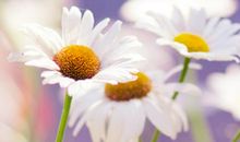 有关亲情的哲学句子