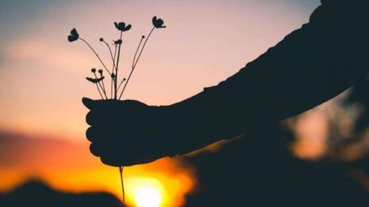 我遇到的美丽句子1