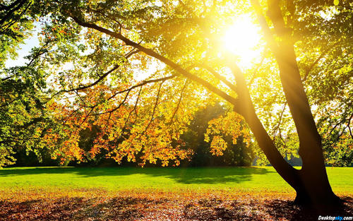 10.今天是世界儿童节。 《童话王》发来贺电：祝您“孩子的健康”，“孩子的快乐”，“孩子般的天真”，“孩子般的精神”，“孩子般的心永远”，“焕发青春”！永远快乐！