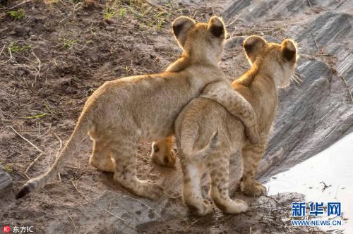 超级温暖的心句子2