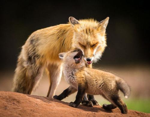 超级温暖的心句子1