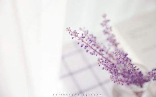 11.家庭情感一直无时无刻不在我们身边，有时我们会因为我们的顽皮和好玩而忘记它的存在。但是，那一刻，我意识到家庭的感情是如此重要。