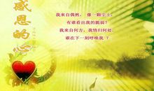 懂得放弃的名言