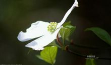 关于写同学们开心的句子 表示同学们开心的样子