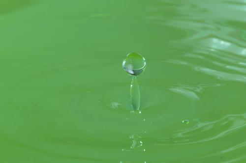 12.在那一瞬间,我发现世界上所有的母亲都很容易被欺骗和满足!那一刻,我忍不住哭了。