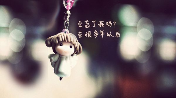 我写给自己的话