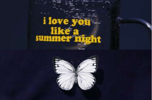 20.我不会尝试摘月亮,我希望月亮来找我。