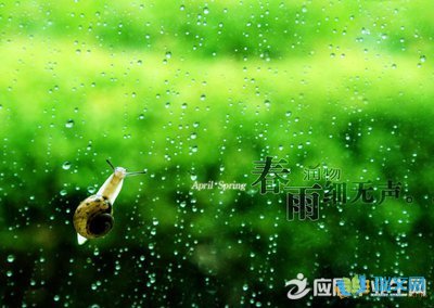 优美的句子描述春雨