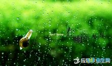 描写春雨的优美句子