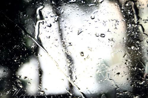 10.如果您想到生命的空虚和短暂,则无需关心很多事情。