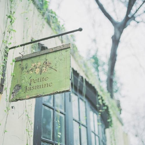 感动人的真实情感，会受到情绪变化的影响，因为付出太多，不必担心个人得失。