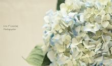 活得开心的经典短句子