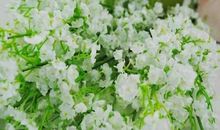 形容亲情的英文句子