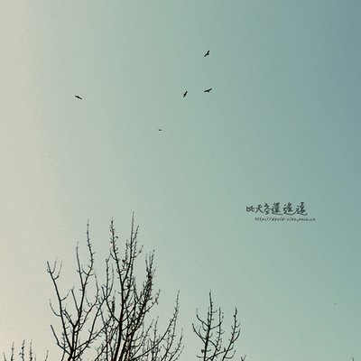 11.下班后来到好运公司，遇到麻烦时，您会mb目结舌，压力会飞到九个天堂，立即伤心和打哈欠，以愉快的心情见面，立即微笑，问候和祝福，祝愿下班后，你甜美的笑容！