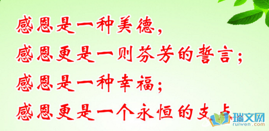 名人感恩节行情