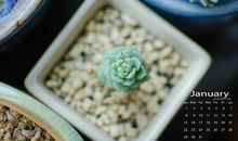 和姐妹逛街的开心句子 逛街是女人最开心的事的句子