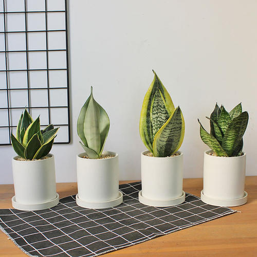 11.感情是风，吹着悲伤，保持快乐； （情是风，是悲伤，是快乐;