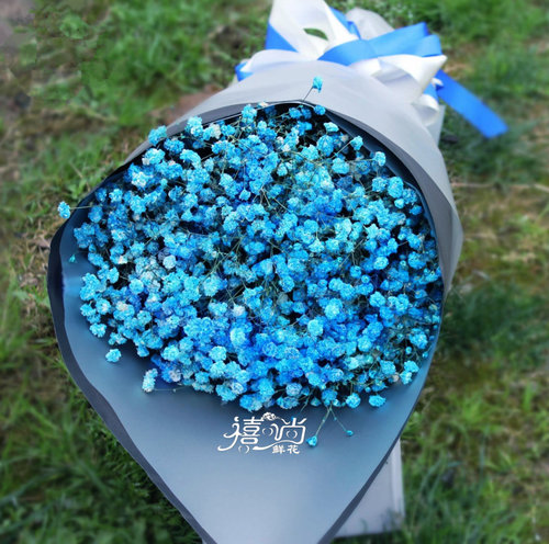 12.幸福是一种精神状态,与财富,年龄和环境无关。