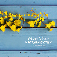 爱情不是庇护所，想躲避，便会被驱逐出去。