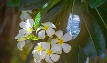 有关亲情的的句子