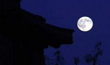 关于月的优美句子