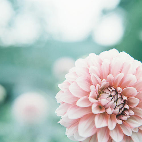 12.家庭之情是一小勺瓢泼的雨水,在春天漂浮,使孤独和寂寞的人干dry灵魂;