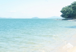 10.我们爱的地方就是家，脚可能会离开的家，但我们的心不会离开。家是我们爱的地方，我们的脚可以离开，但我们的心却不能。