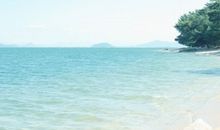 有关于亲情的英文句子