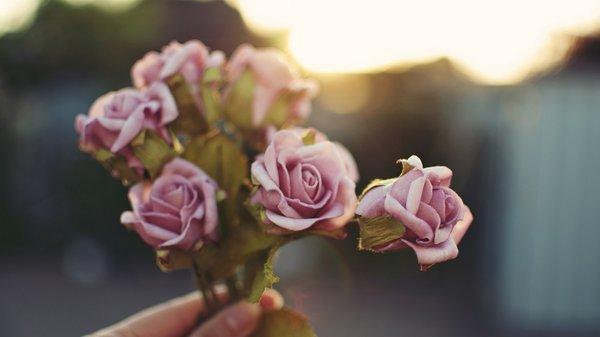 11.是的,那一刻,我意识到:亲情是如此重要。