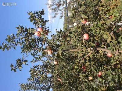 9.五月的季节描绘了美丽的诗歌;对五月的照顾是向往的心。五月的问候表示诚挚的感情;五月的祝福充满了阳光和温暖。每天快乐!