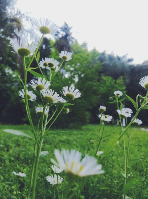 10.家庭之情,无时无刻不在我们身边。有时,由于我们的顽皮和好玩,我们忘记了它的存在。但