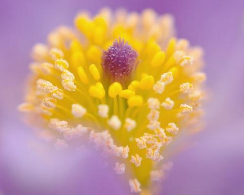 12.什么是家庭感情？当您还是个婴儿时，家人的喜爱就是滋养您成长的牛奶。