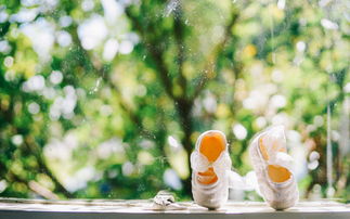 11.什么是家庭感情？父母是世界上最稀有的兄弟。