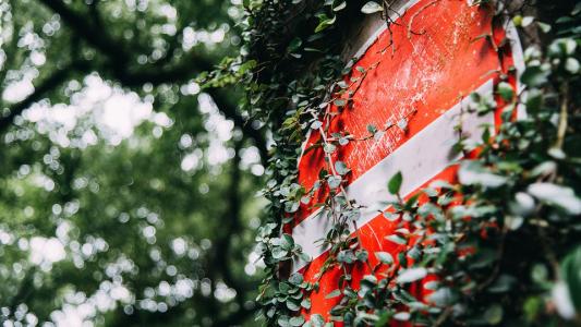 10.在雨天的家庭活动。狮子王充满了回忆。我儿子说他看的时候会哭。我们是一家人，不能忘记。