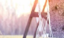 失去了爱情后悔的句子