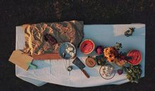 朴实无华亲情的经典句子