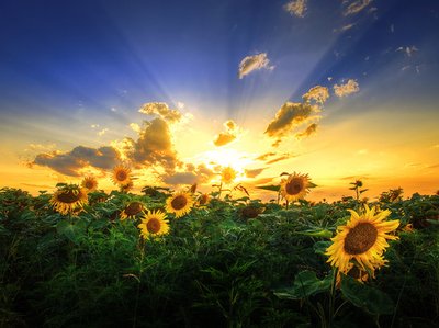 11.昼夜预防,麻烦难以预防;真诚的关心,希望你幸福;休闲和休闲;向东和向西行走,安然跟随您;劳动运动,幸福伴随着你;早晚发送,必须发送短信:劳动复活节快乐!