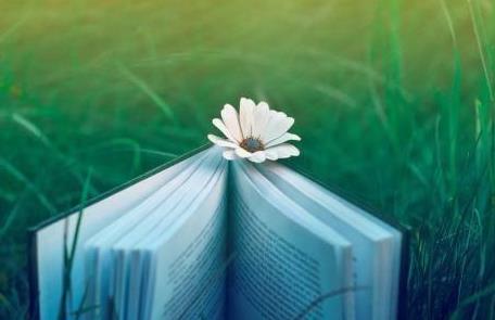 12.吹动东晓，快乐的夏日快乐；吹一串弦，夏天的笑容灿烂；品尝一杯香茶，夏日心情平静；发送短信，夏天的祝福和温暖。