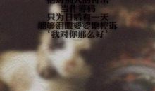 爱极度心碎的句子