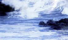 关于表达亲情的经典句子说说心情短语