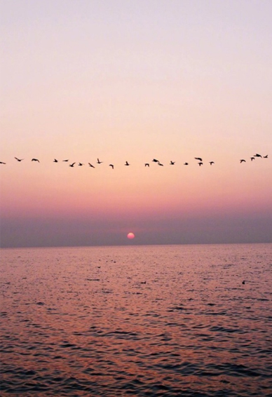 12.什么是家庭感情?生活就像一首歌,家庭感情在配音。