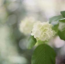 12.桃李春风，一杯酒，十年江湖降雨。