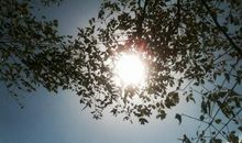 表达亲情冷血的句子