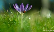 现代作家关于亲情的优美句子