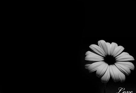 11.不是我不了解爱，而是我不了解你。