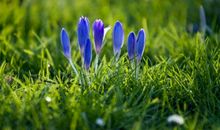 亲情需要宽容句子