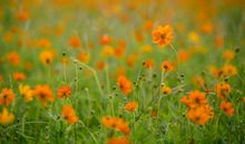 因为亲情心里很痛苦的句子